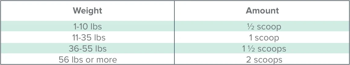 Dr. Marty Better Life Boosters Pumpkin Blend Supplement For Dogs, 3.12-oz - Image 2