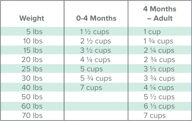Dr. Marty Nature’s Blend Healthy Growth Freeze-Dried Raw Puppy Food, 16-oz Bag - Image 3