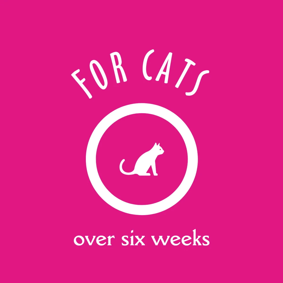 Earthbath 2-in-1 Light Wild Cherry Conditioning Cat Shampoo, 16-oz Bottle - Image 5