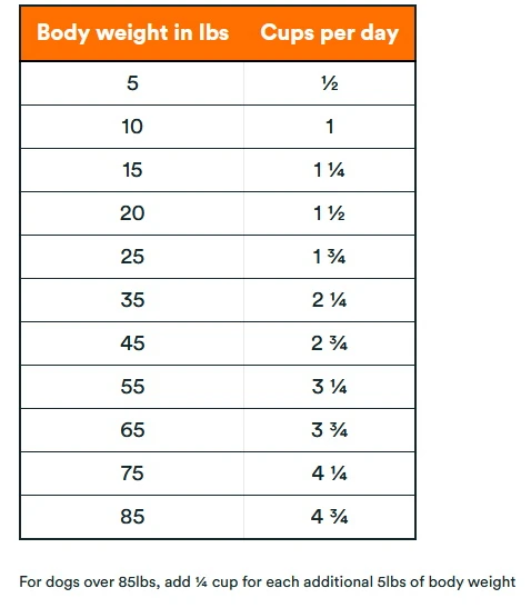 KOHA Freeze-Dried Raw Bites Beef Entree Dog Food, 14-oz Bag - Image 4