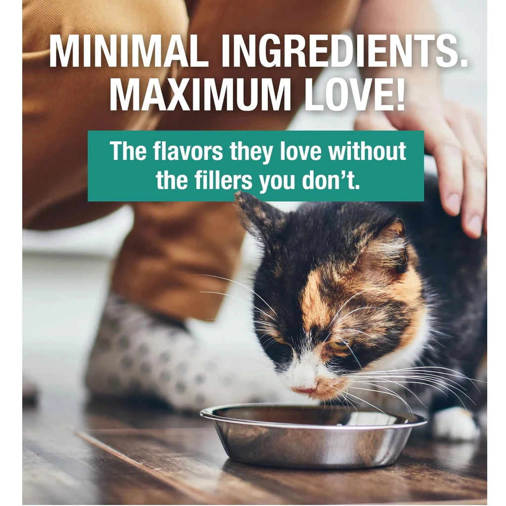 KOHA Limited Ingredient Diet Turkey Pate Canned Cat Food, 5.5-oz, Case Of 24 - Image 2