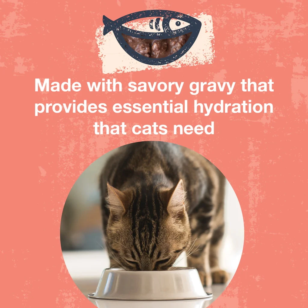 KOHA Poke Bowl Tuna & Salmon Entree In Gravy Moist Cat Food, 5.5-oz, Case Of 24 - Image 3