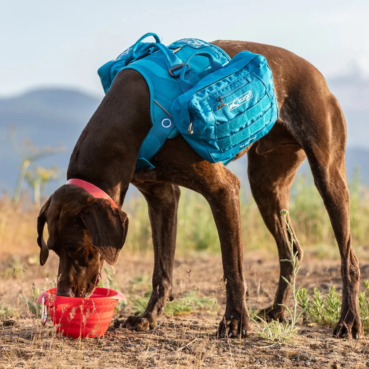 Kurgo Collaps-A-Bowl Collapsible & Portable Travel Dog Bowl For Food & Water, Red - Image 3