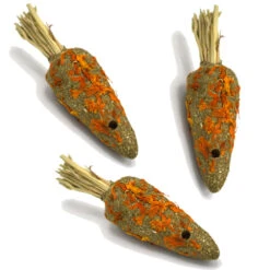 Oxbow Enriched Life Orange Timothy Carrot Chew Toy For Small Animals, 3-Pack