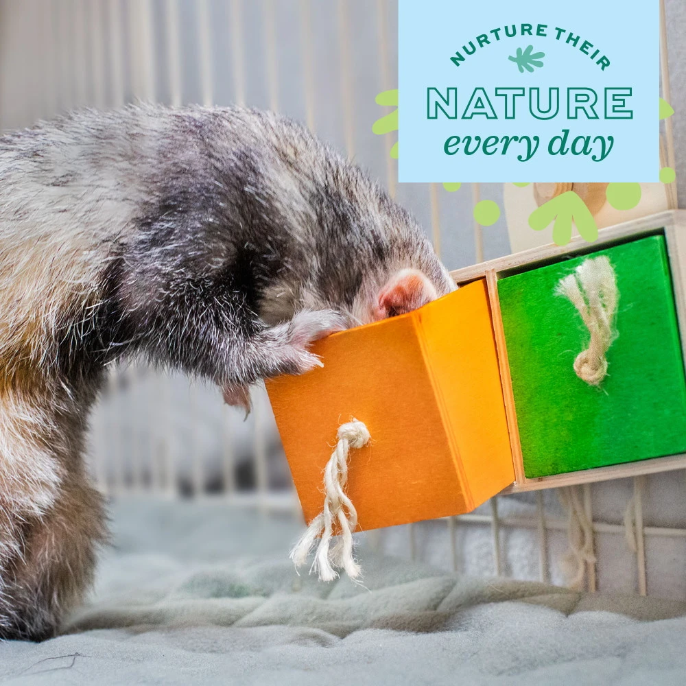 Oxbow Enriched Life Pull 'n Seek Small Animal Toy - Image 4