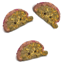 Oxbow Enriched Life Timothy Apple Slice Chew Toys For Small Animals, 3-Pack