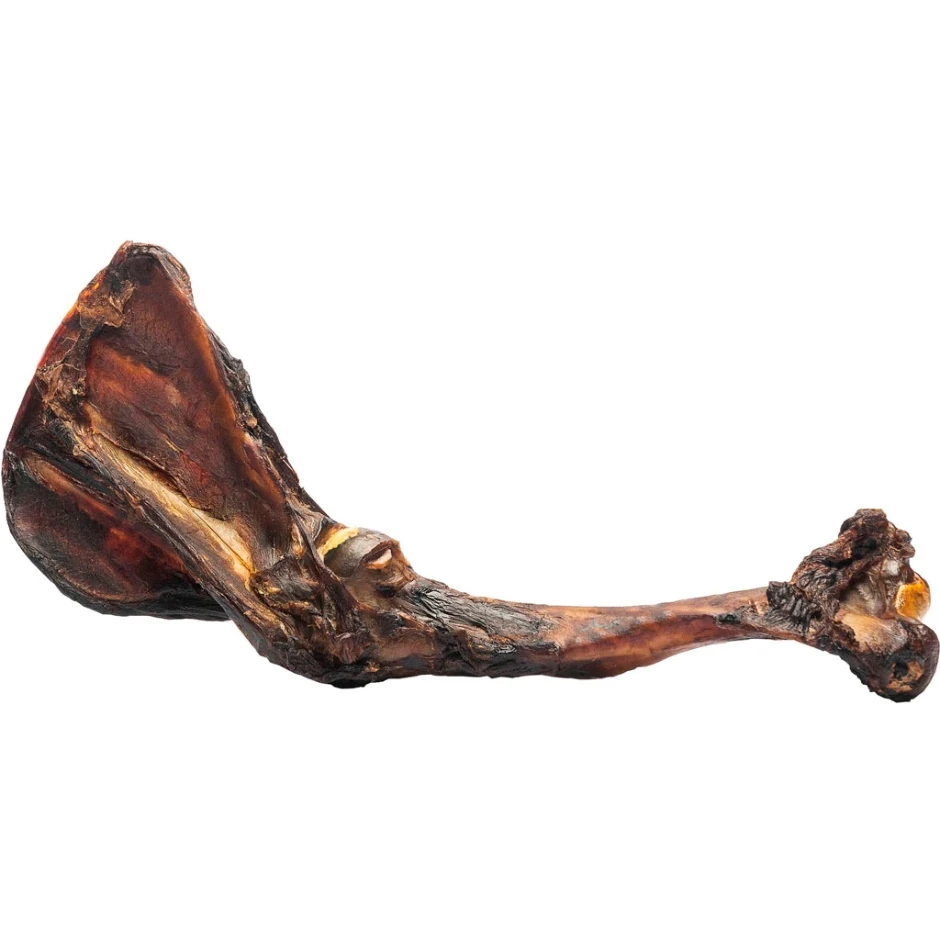 ROAM Big Bondi Kangaroo Forearm Shoulder Bone Dog Treats - Image 3