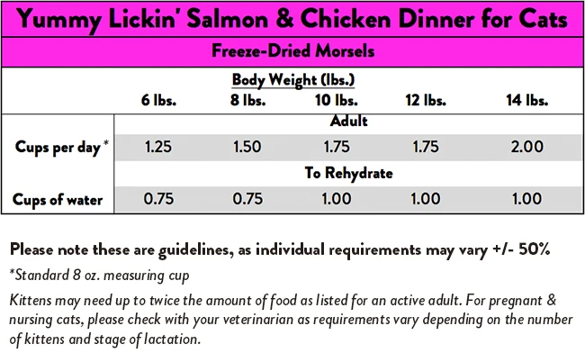 Stella & Chewy's Yummy Lickin' Salmon & Chicken Dinner Morsels Freeze-Dried Raw Cat Food, 9-oz Bag - Image 2