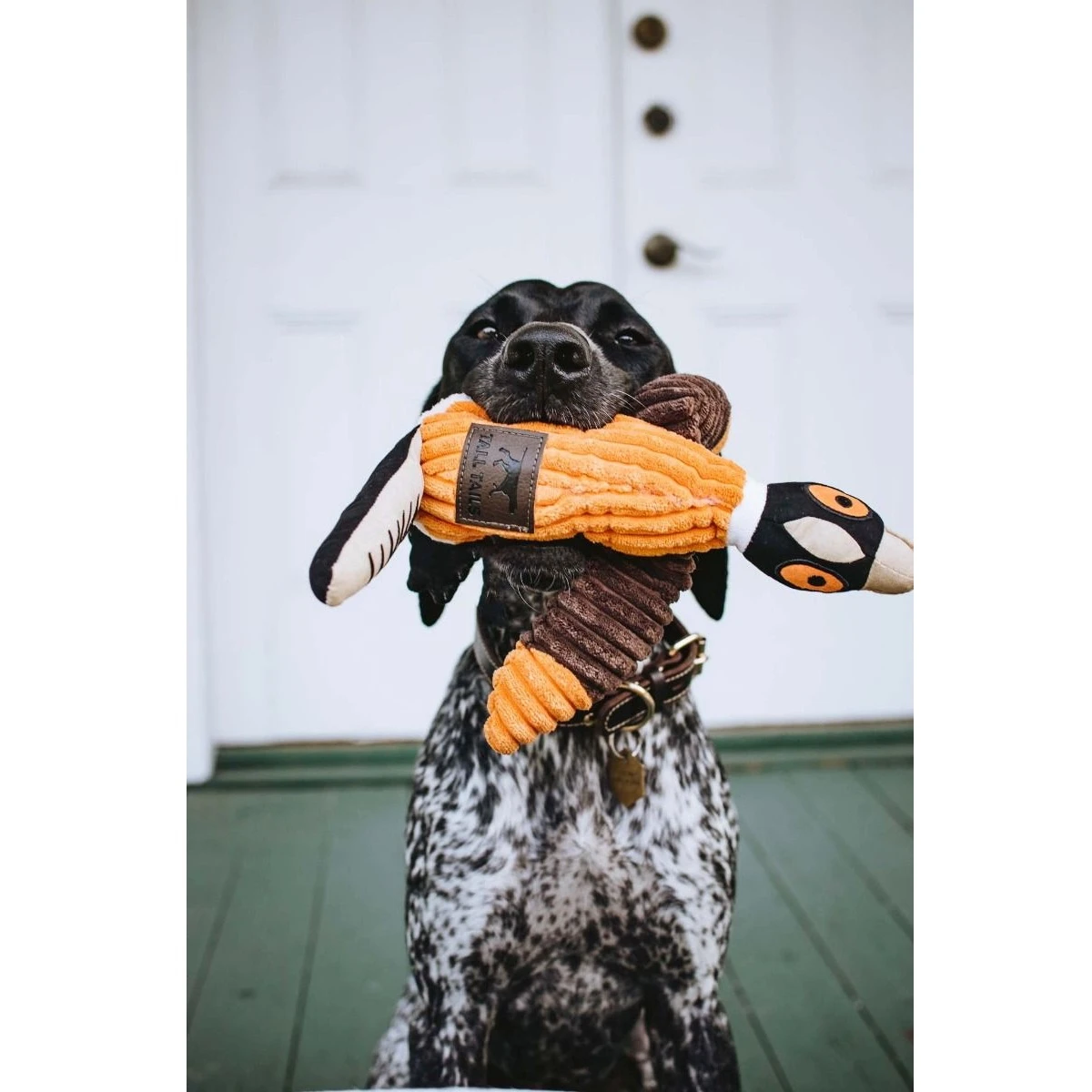 Tall Tails Plush Pheasant Squeaker Dog Toy - Image 4