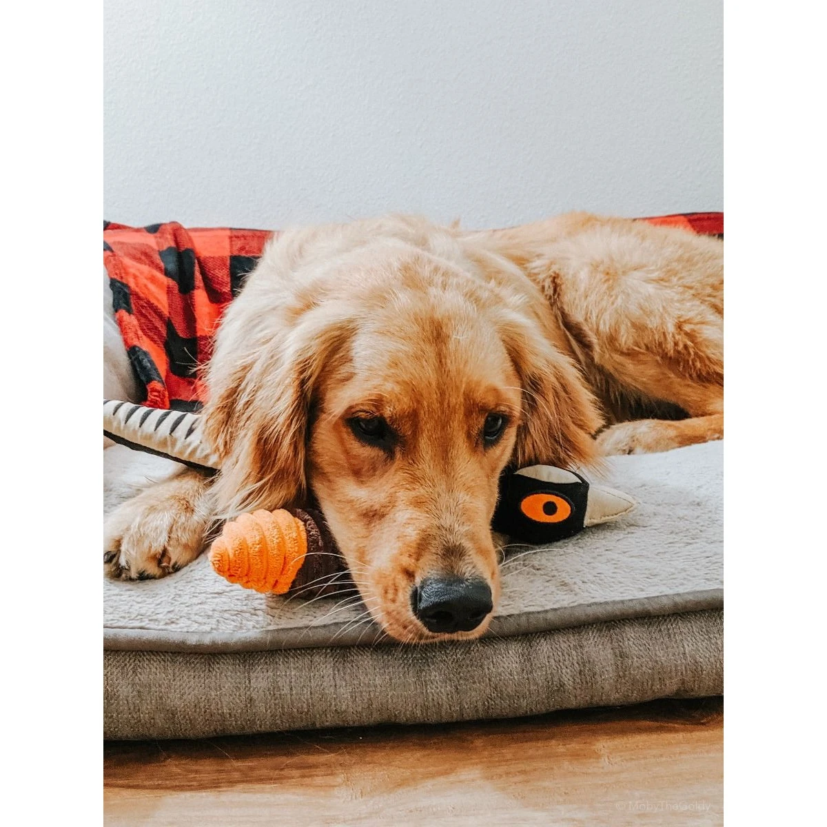 Tall Tails Plush Pheasant Squeaker Dog Toy - Image 5