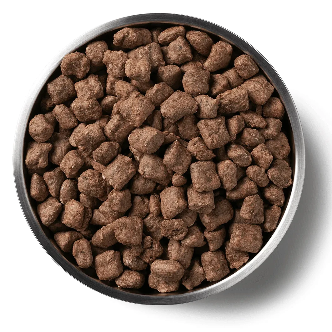 Vital Essentials Freeze-Dried Raw Beef Nibs Dog Food, 14-oz Bag - Image 2