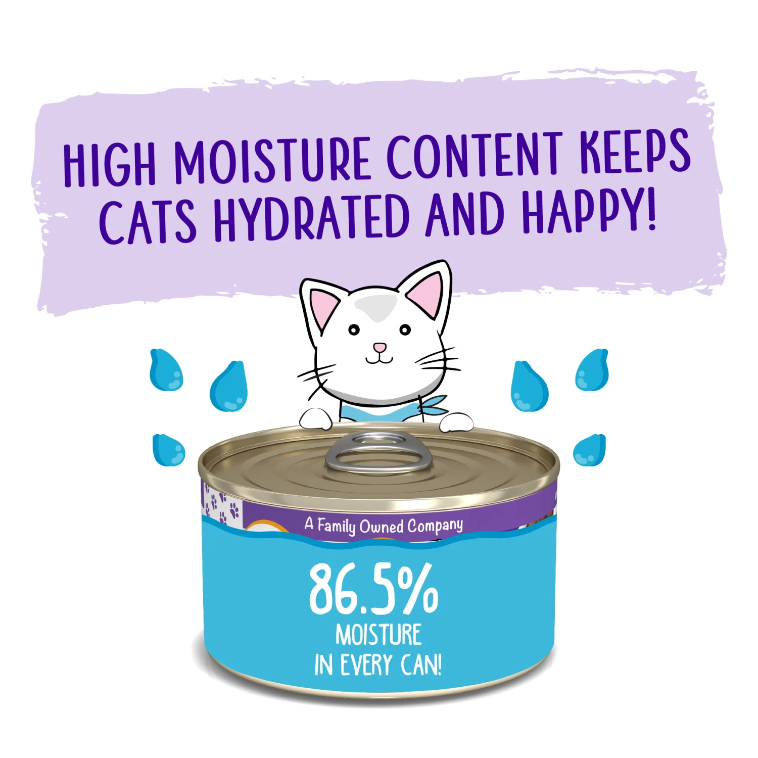 Weruva Classic Cat Meal Or No Deal Chicken & Beef Pate Canned Cat Food, 5.5-oz Can, Case Of 8 - Image 2