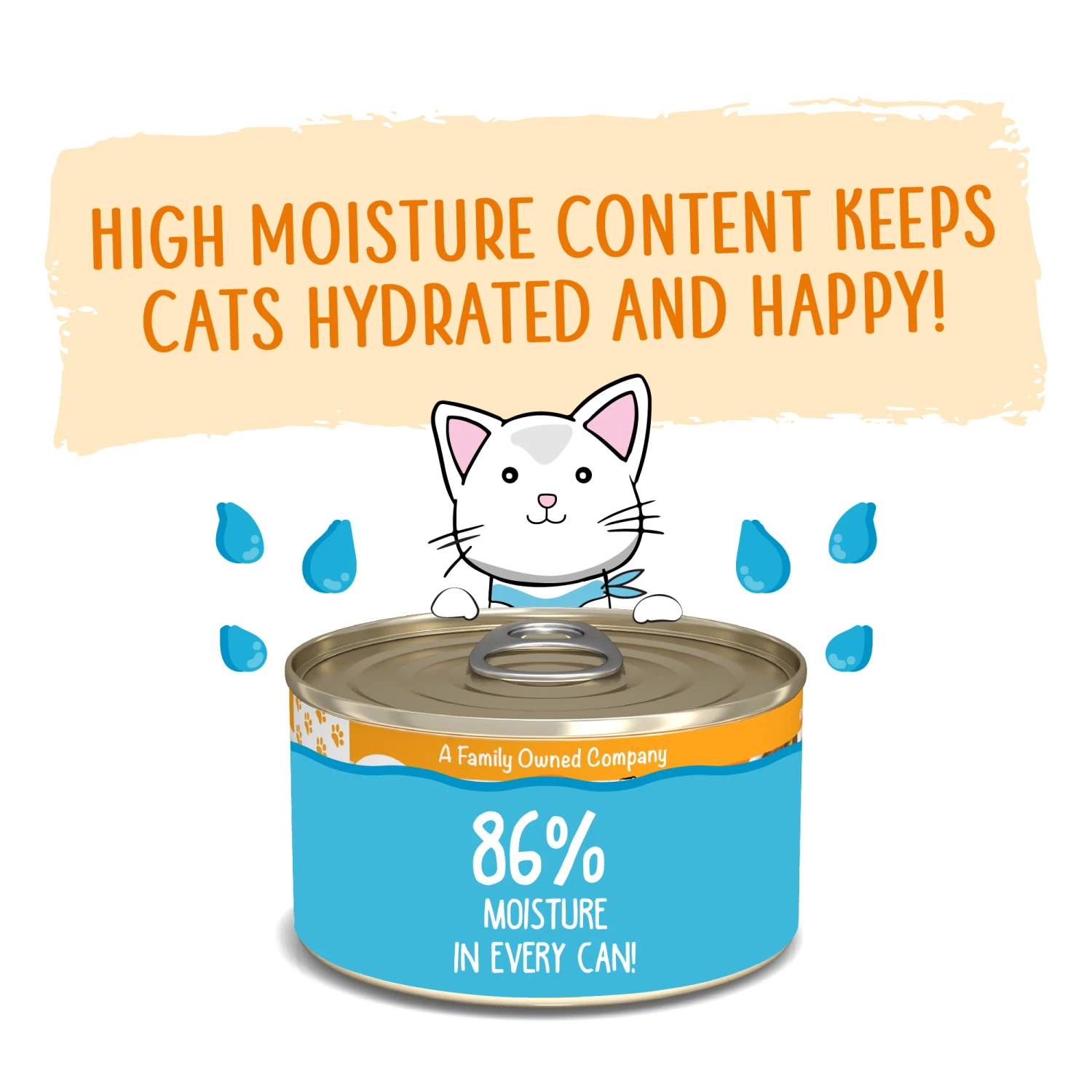 Weruva Classic Cat Who Wants To Be A Meowionaire Chicken & Pumpkin Pate Canned Cat Food, 5.5-oz Can, Case Of 8 - Image 2