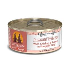 Weruva Jammin' Salmon With Chicken & Salmon In Pumpkin Soup Grain-Free Canned Dog Food, 5.5-oz Can, Case Of 24