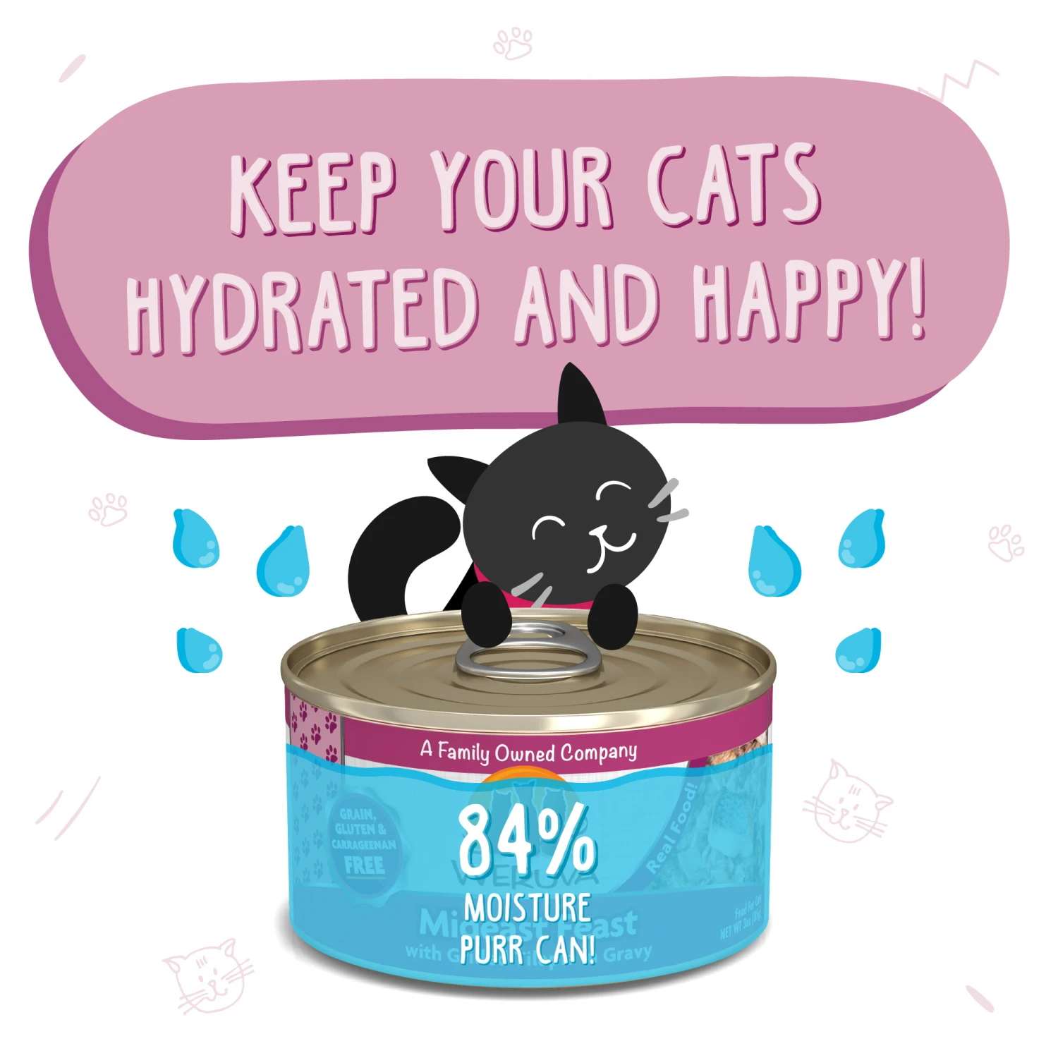 Weruva Mideast Feast With Grilled Tilapia In Gravy Grain-Free Canned Cat Food, 3-oz Can, Case Of 24 - Image 4