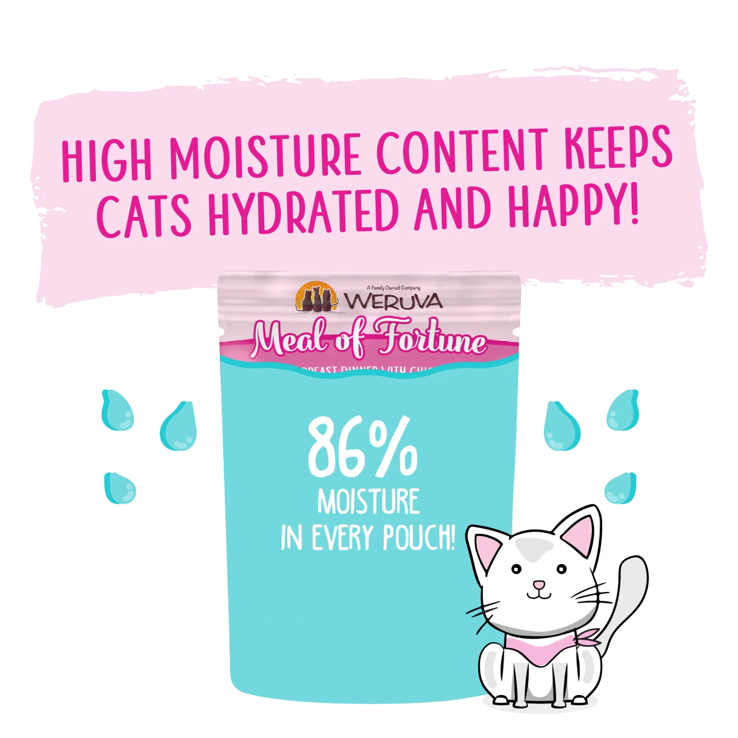 Weruva Slide N' Serve Meal Of Fortune Chicken Breast Pate Grain-Free Cat Food Pouches, 2.8-oz Pouch Case Of 12 - Image 4