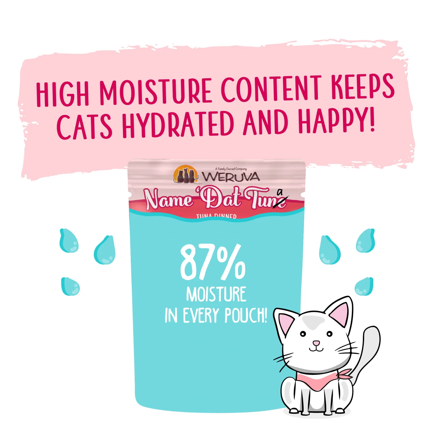 Weruva Slide N' Serve Name 'Dat Tuna Pate Grain-Free Cat Food Pouches, 2.8-oz Pouch Case Of 12 - Image 4