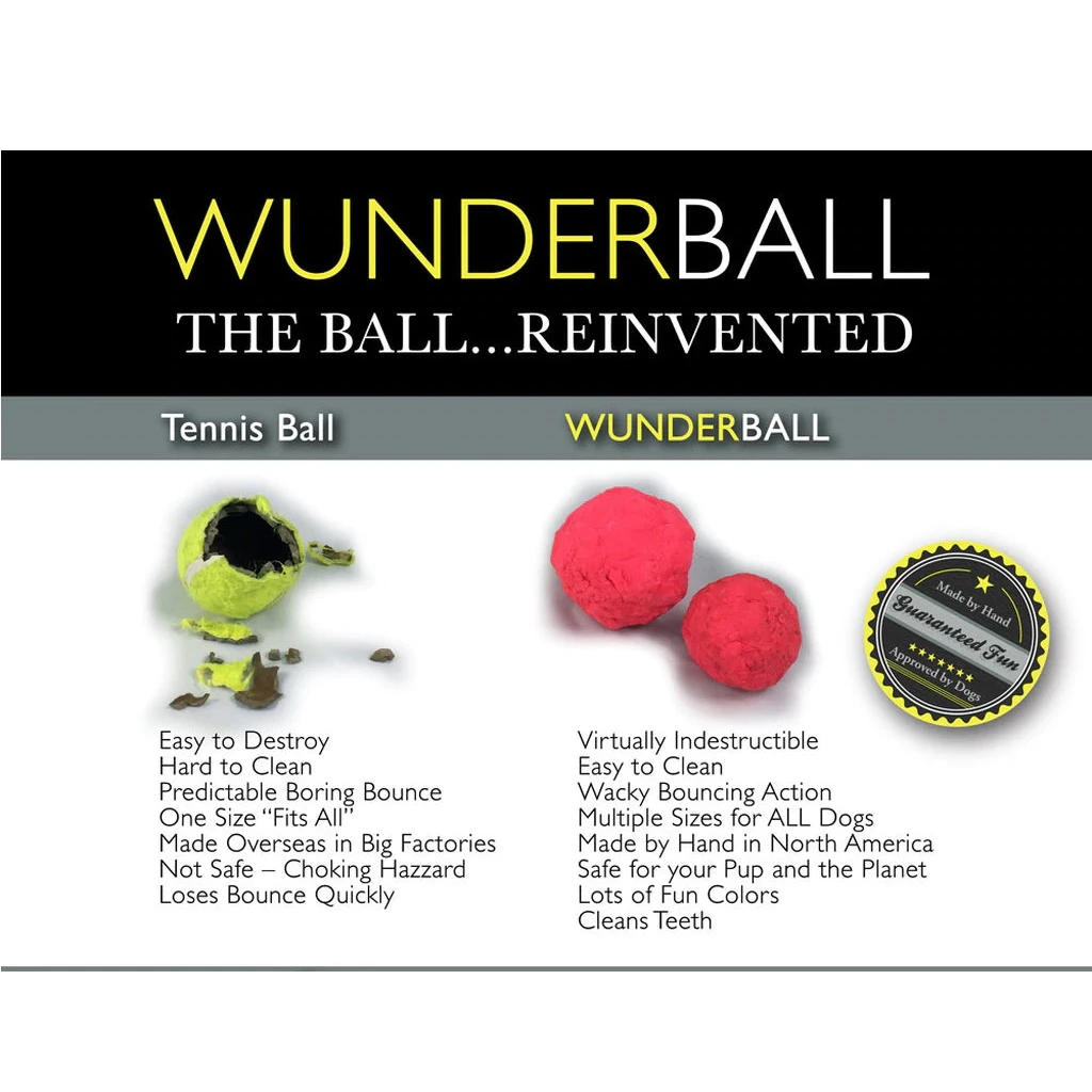 WUNDERBALL Fetch Dog Toy, Medium, Color Varies - Image 3